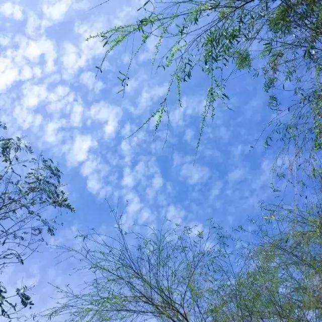 突然没有期待 也欣喜不起来
