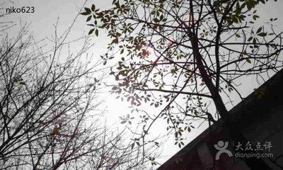 离阳光更近（美文）