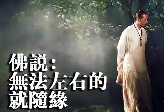 一切随缘，缘深多聚聚，缘浅随它去
