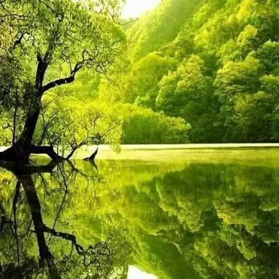 那个地方（好文）