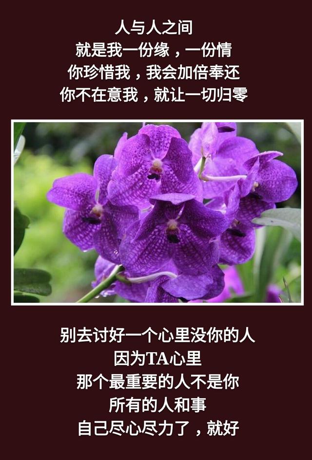 不是你的别去强求！离去的，都是风景；留下的，才是人生