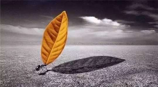 宽容别人，就是爱护自己