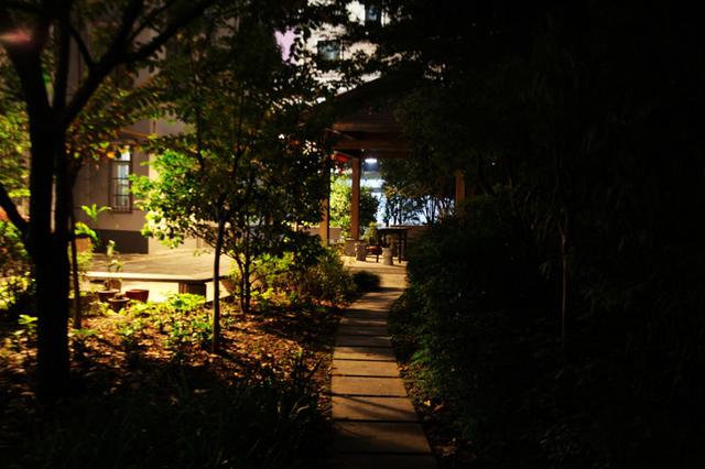 夜，装饰了谁的梦