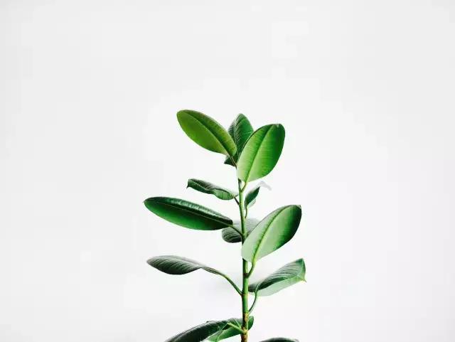 远离低质量的勤奋，3个方法带你摆脱穷忙