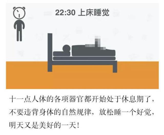 据说这是全球公认最健康的作息时间表