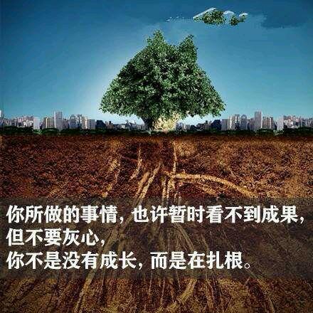 人生最重要的不是成熟、而是成长！