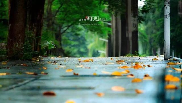 这一天我将自己送给你，可以爱我一辈子吗