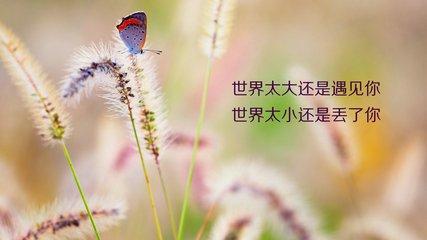 美 言（好文）
