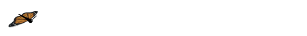 用文字抒写人生，在文字中追求美好和希望