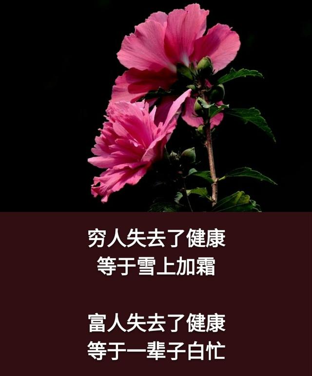 人生在世：千万不要，千万不要，千万不要说你有钱！「句句精辟」