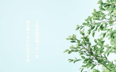 美 言（好文）