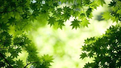 大多数人都会犯的思维错误，你都有吗？