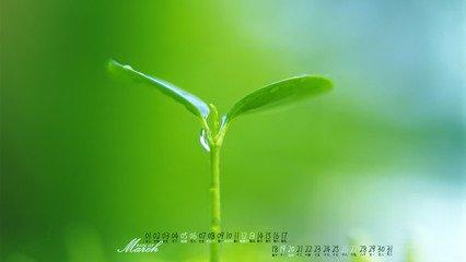 在那里（好文）