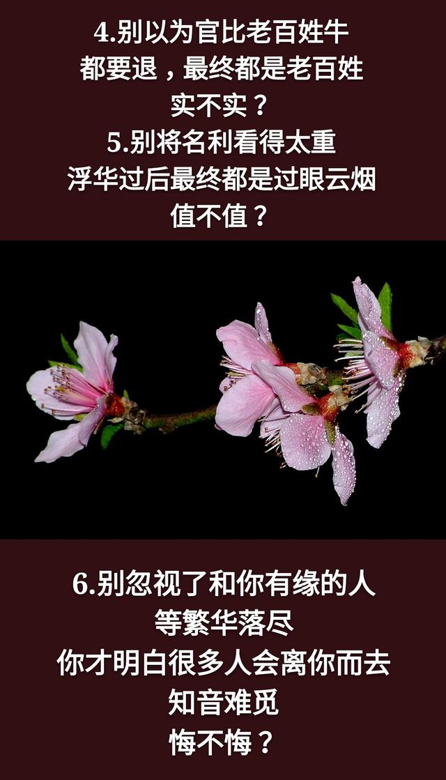 人生在世：千万不要，千万不要，千万不要说你有钱！「句句精辟」