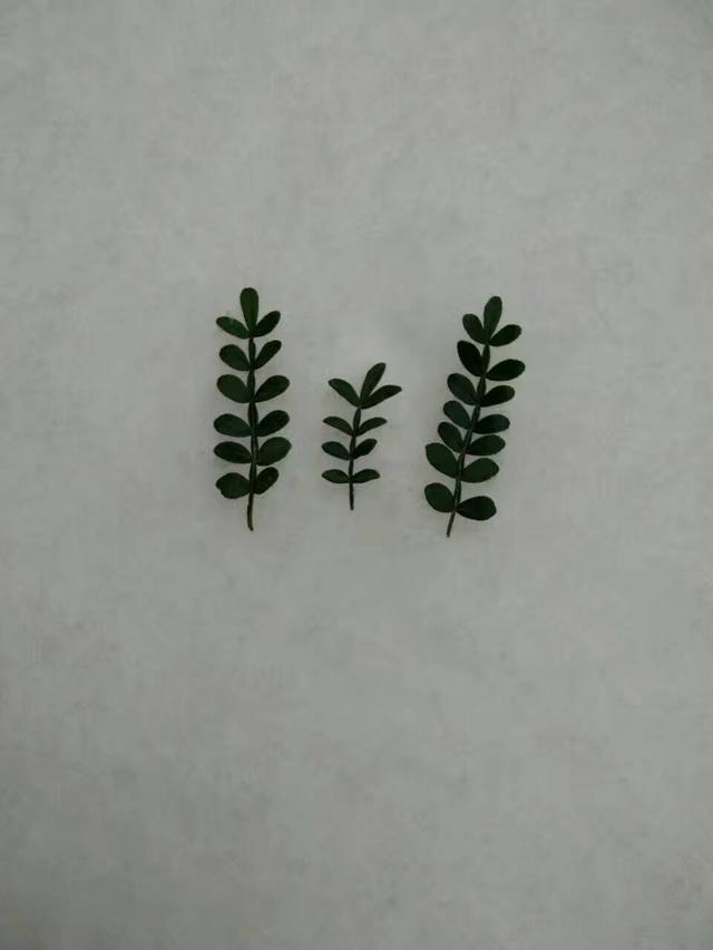 春雪有意，候你婚期