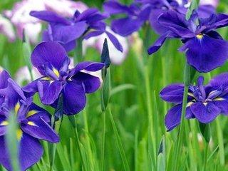 珍 惜（好文）