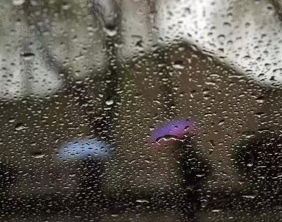 美文：雨中即景