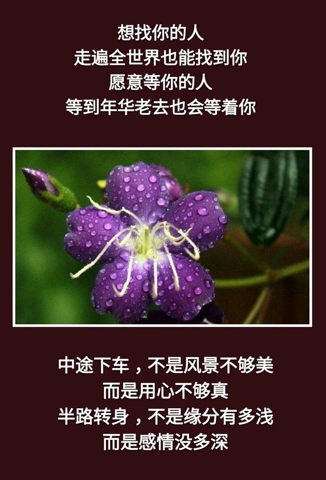 不是你的别去强求！离去的，都是风景；留下的，才是人生