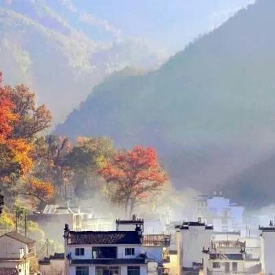 我所怀念的