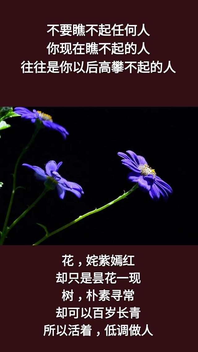 人生在世：千万不要，千万不要，千万不要说你有钱！「句句精辟」