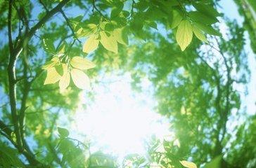 阳光，会洒满每个裂缝