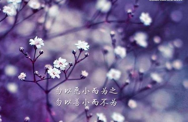 愿你退可躬耕陇亩，进可高居庙堂