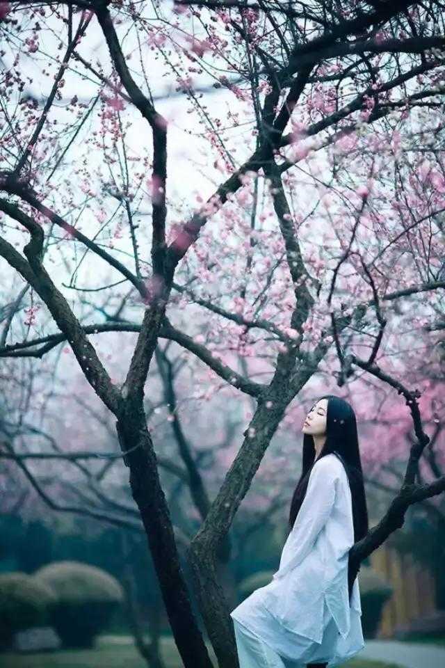 人生若无悔，那该多无趣