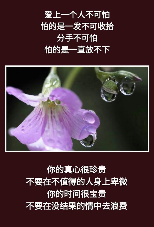 不是你的别去强求！离去的，都是风景；留下的，才是人生