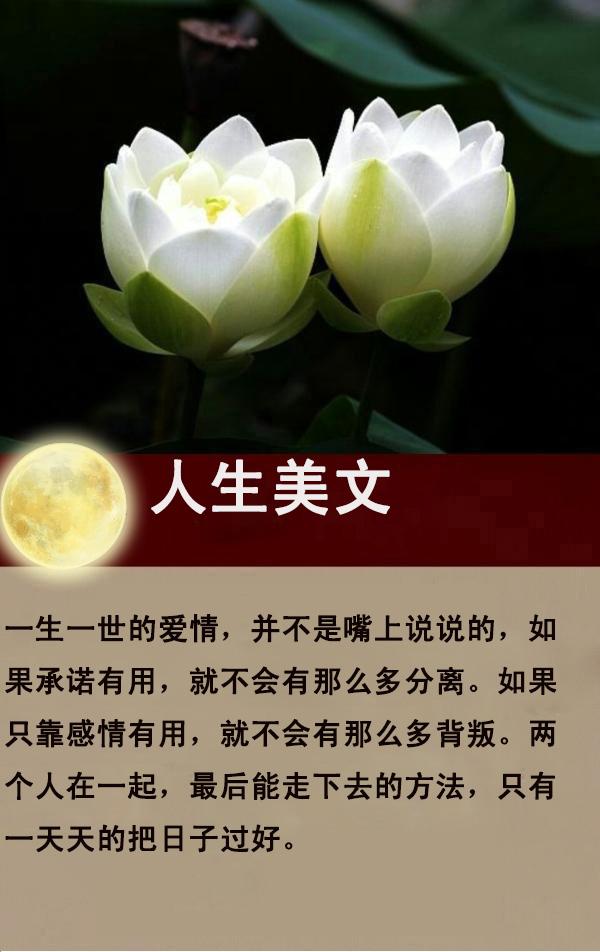 那摧枯拉朽的爱，那繁花似锦的毁灭