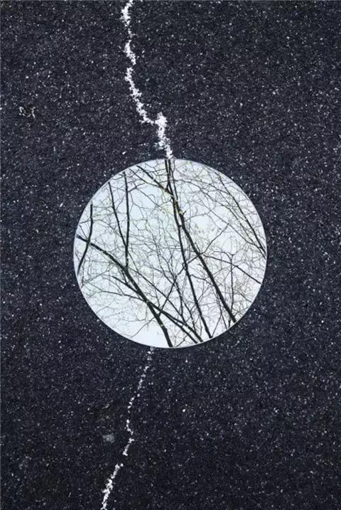 谁会与我共赴一场花事