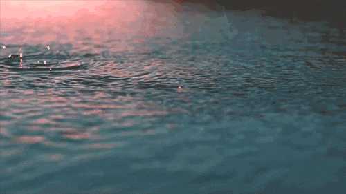 这个秋夜，有雨敲窗