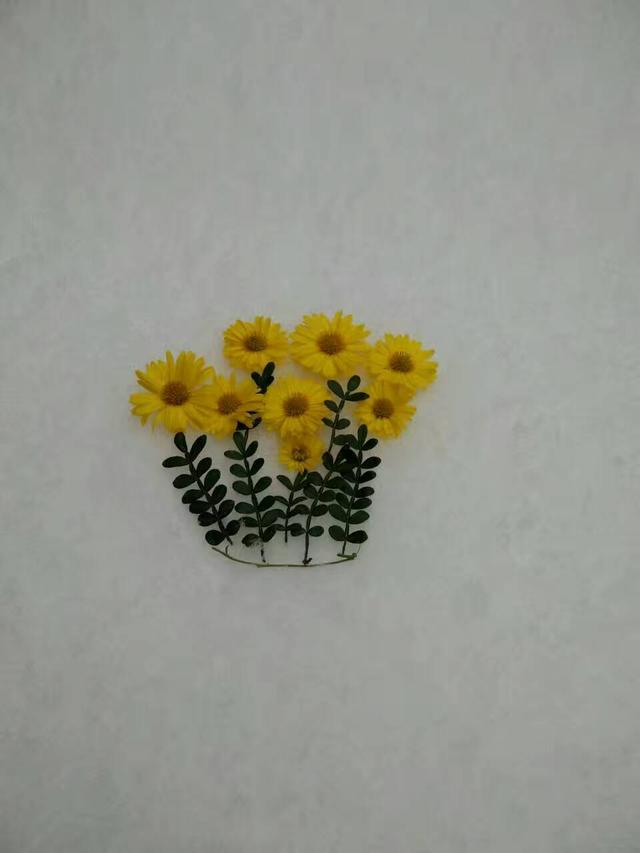 春雪有意，候你婚期