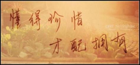 一夕花尽落 且行且珍惜！