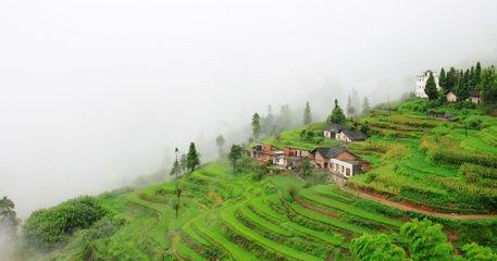 美丽的故乡（好文）