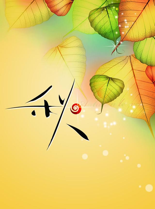 经典散文：捡拾一片黄叶，写满零乱的思绪