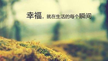飞往你幸福的天涯