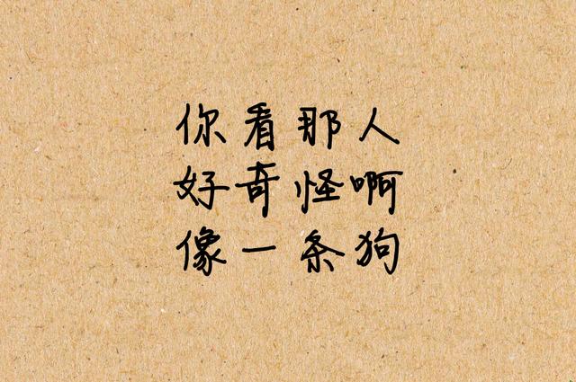 孤独，是什么体验？我全中了！