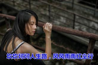 风雨落花声 繁华一瞬间