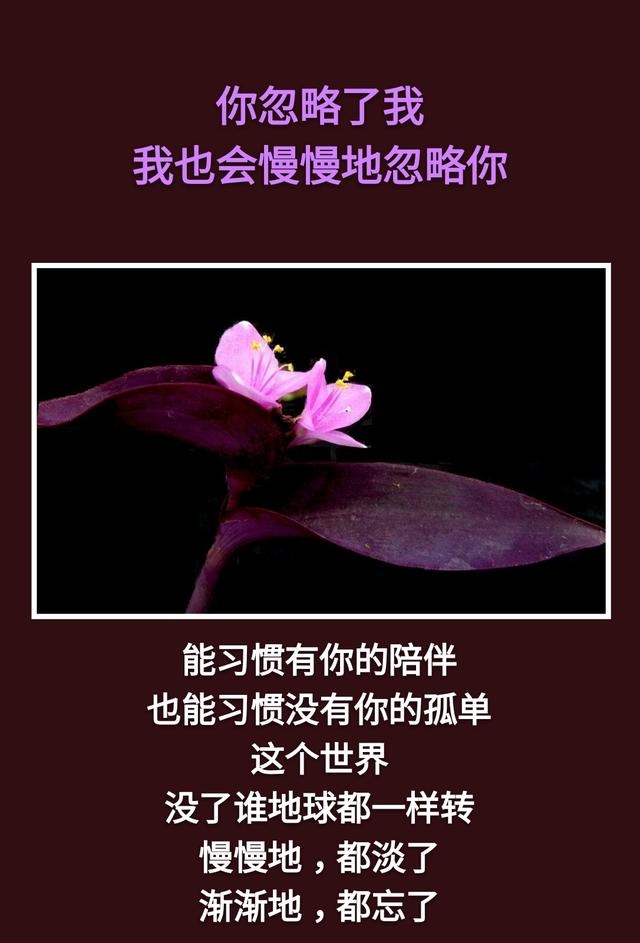 不是你的别去强求！离去的，都是风景；留下的，才是人生