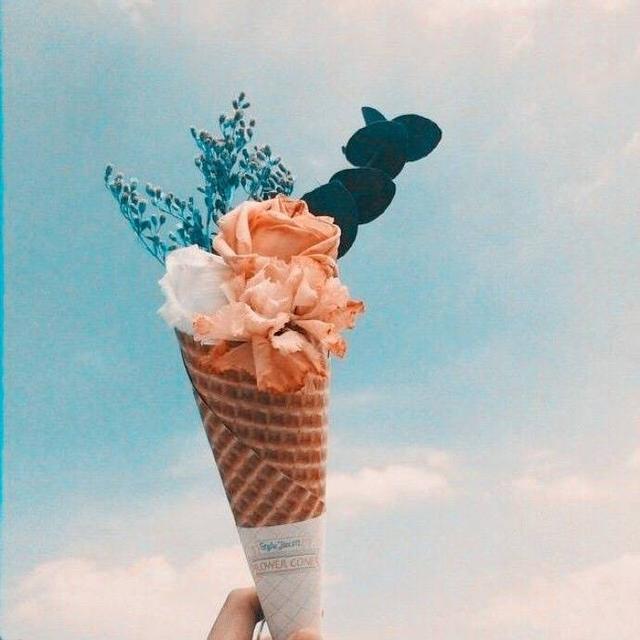 人为什么要旅行？这是我见过的最好答案