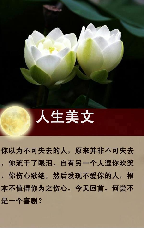 那摧枯拉朽的爱，那繁花似锦的毁灭