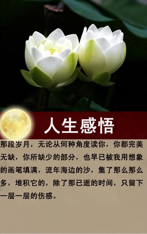 时光：相遇秋思浅，落花静流年（说得真好！）