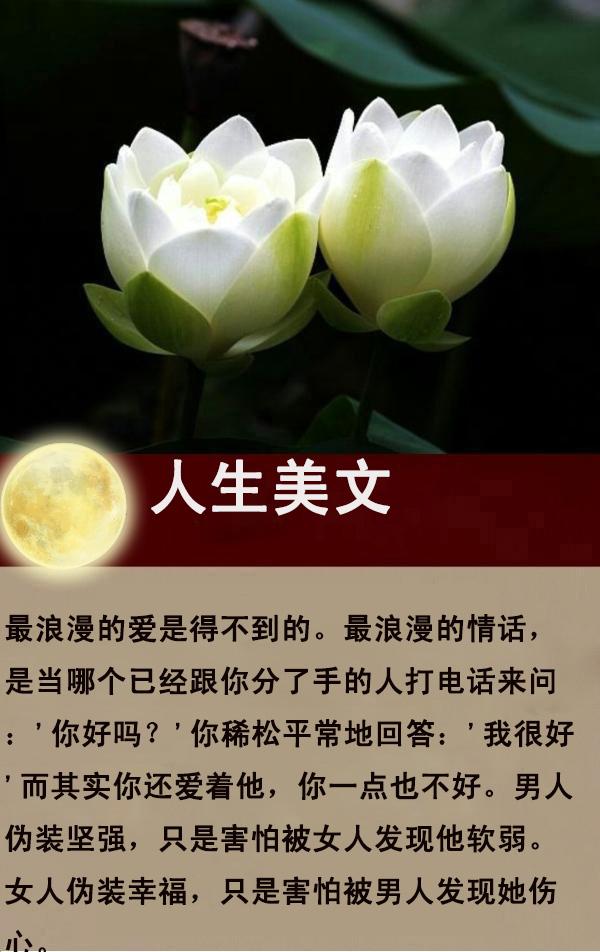 那摧枯拉朽的爱，那繁花似锦的毁灭