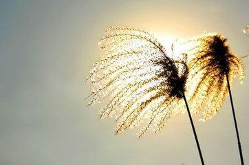 推开那扇窗户，让阳光洒满心房