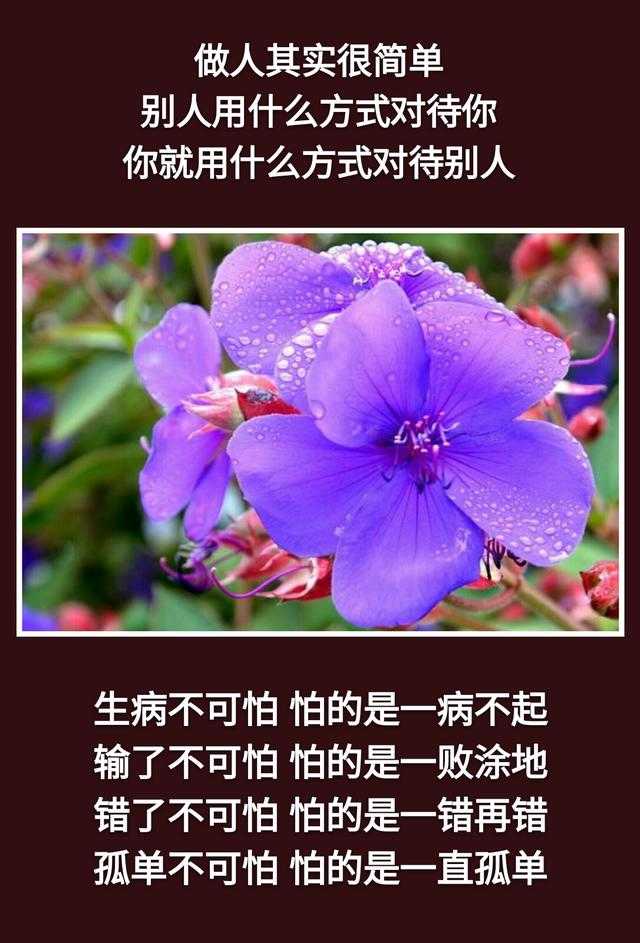 不是你的别去强求！离去的，都是风景；留下的，才是人生