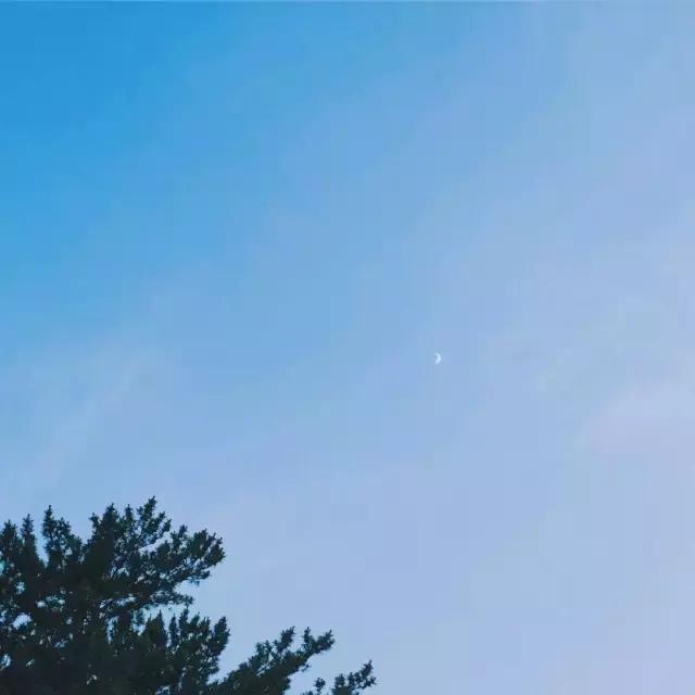 喜欢归喜欢 我从来没有非你不可