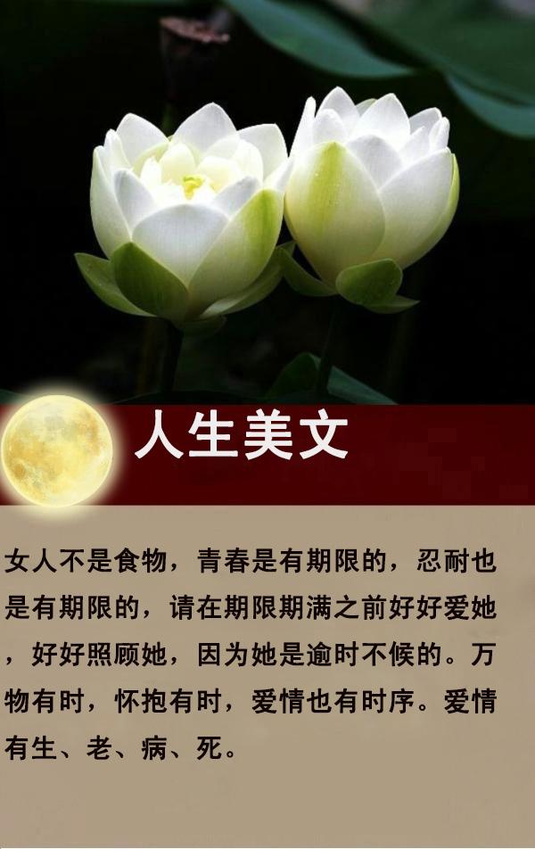 那摧枯拉朽的爱，那繁花似锦的毁灭