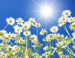 阳光，会洒满每个裂缝