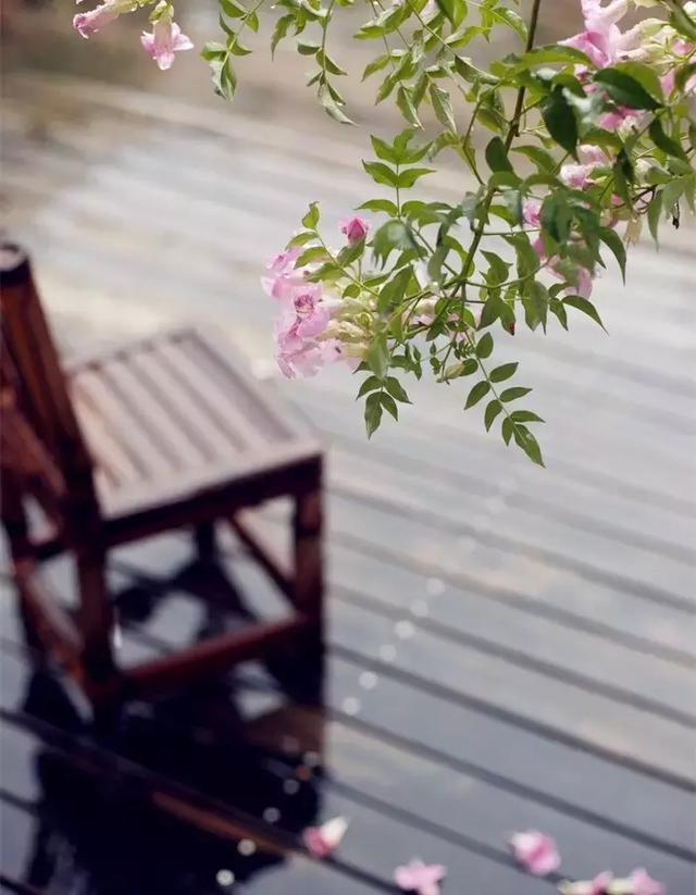 一朵花，刹那芳华间
