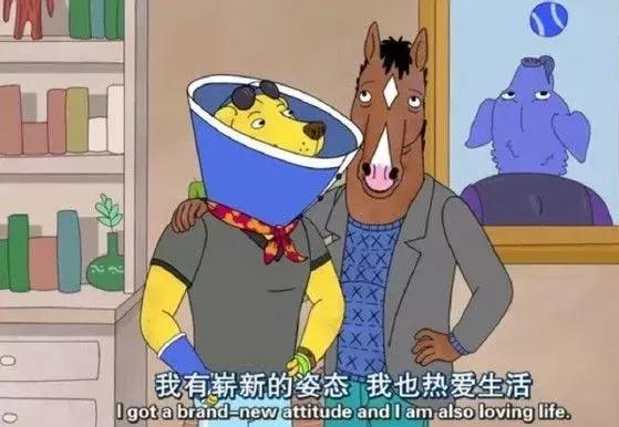 以后不要再见了